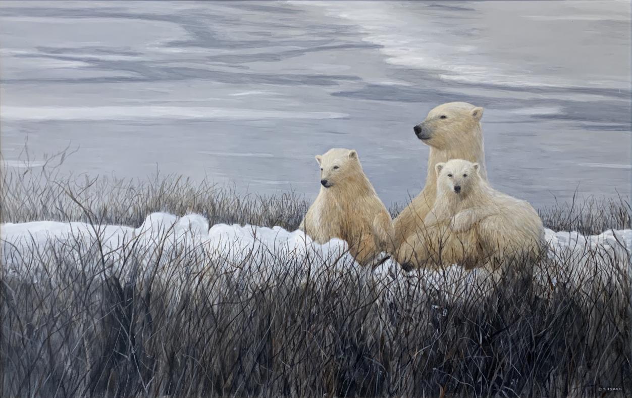 Terry Isaac - Polar Bears